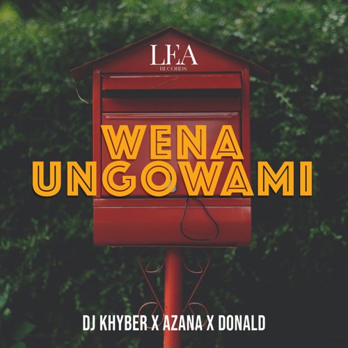 Donald, Azana, DJ Khyber - Wena Ungowami [6009553427658]